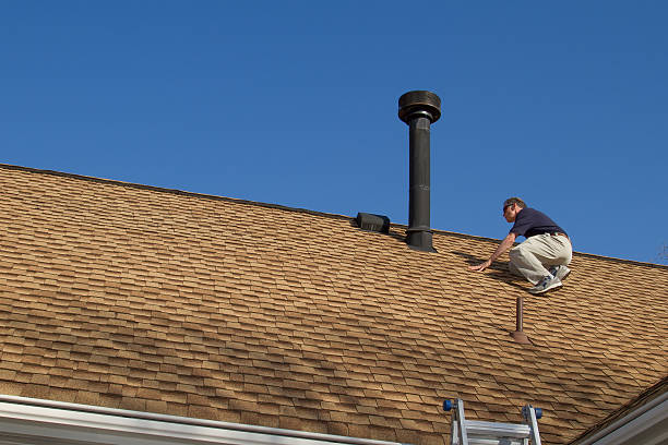 Best Roof Moss and Algae Removal  in Milford, IA